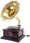 Click to hear the sound of Raagini Digital