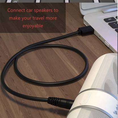 1.5m USB to Aux Cable