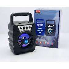 BS-176 BT speaker