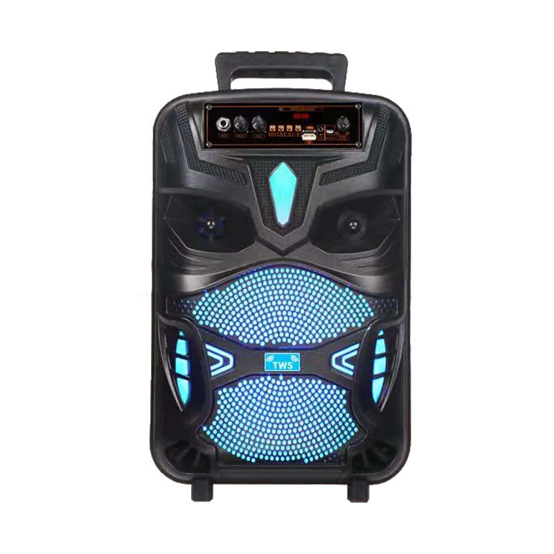 GZ-P66 EXTRA BASS BT-SPEAKER 8 inch