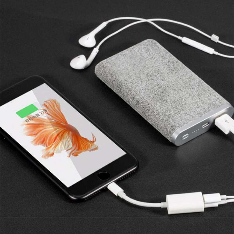 2 in 1 lightning adapter and charger