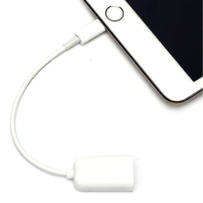 IPhone  Lightning OTG Cable