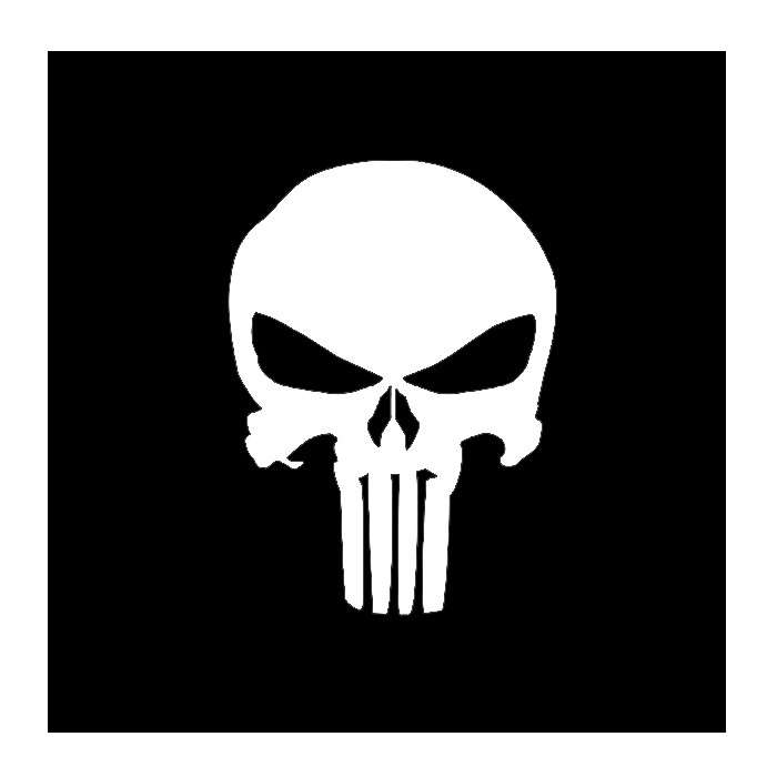 DZI Punisher Vinyl Transfer Sticker - 90mm - Various White