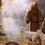 Jesus Good Shepherd 11