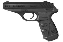 Gamo P-25 Blowback