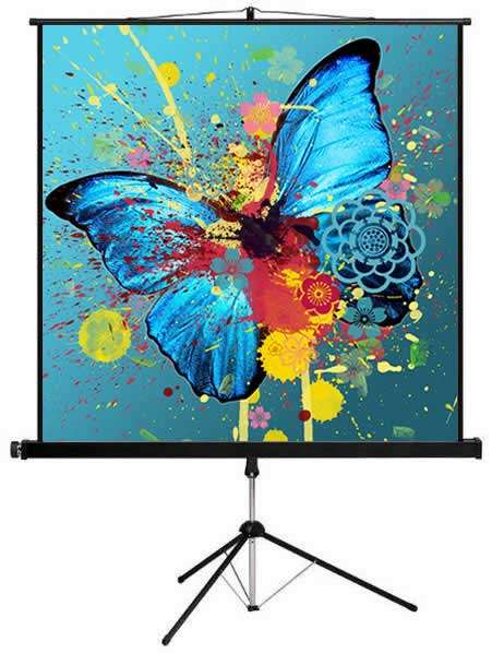 Esquire Tripod Projector Screen