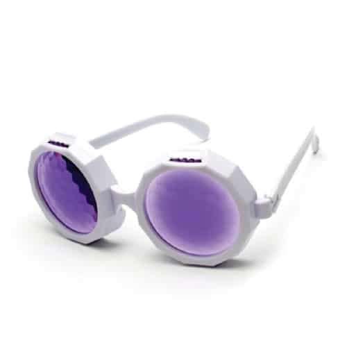 Fly Vision