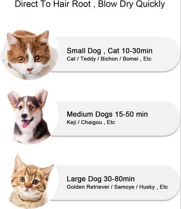 Pet Grooming Dryer
