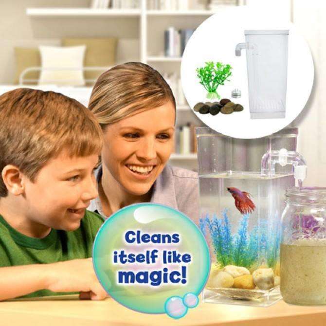 My Fun Fish Tank Clean Itself Like A Magic