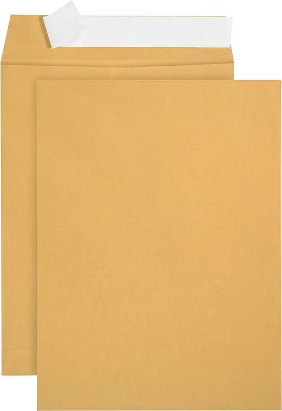 50 Self Seal A4 Envelopes 229mm x 324mm 100GSM