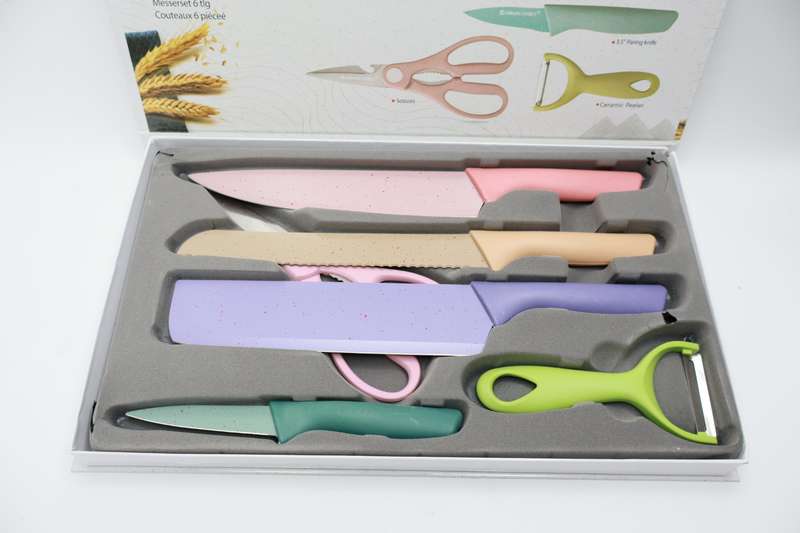 6 Piece Stainless Steel Kitchen Knives  Set With Gift Case Colour