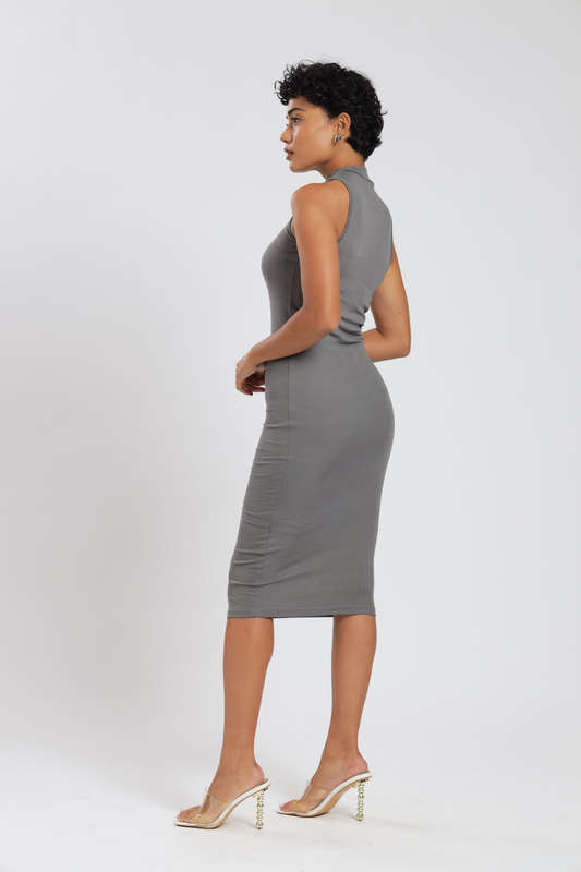 Katie Bodycon Mid Length Sleeveless Dress