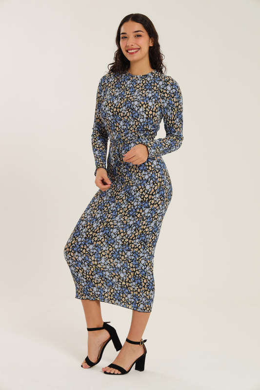 Nicolet Long Sleeve Bodycon Midaxi Evening Dress