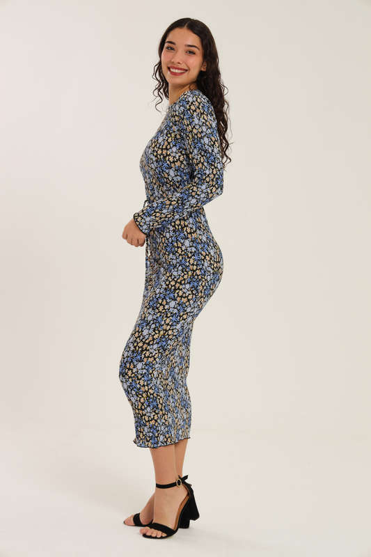 Nicolet Long Sleeve Bodycon Midaxi Evening Dress