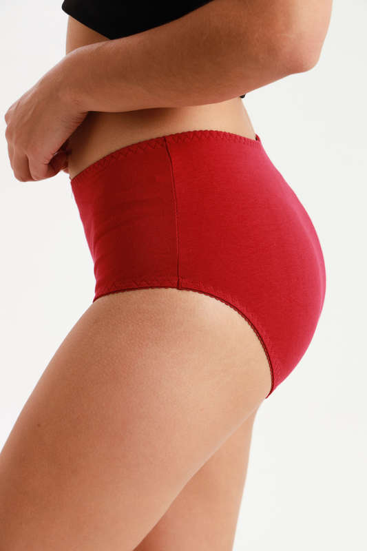 Ladies Fantasy 3 Pack Cotton Spandex Everyday Brief Panties