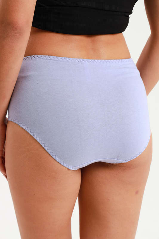 Ladies Fantasy 3 Pack Cotton Spandex Everyday Brief Panties