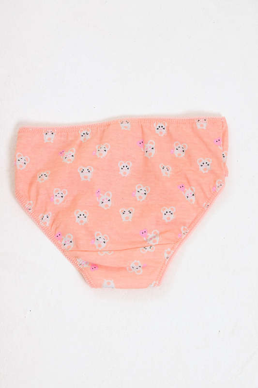 Girls 5 Pack Cotton Panties 2 to 14 Years