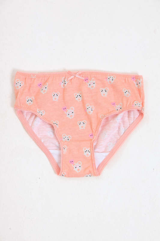 Girls 5 Pack Cotton Panties 2 to 14 Years