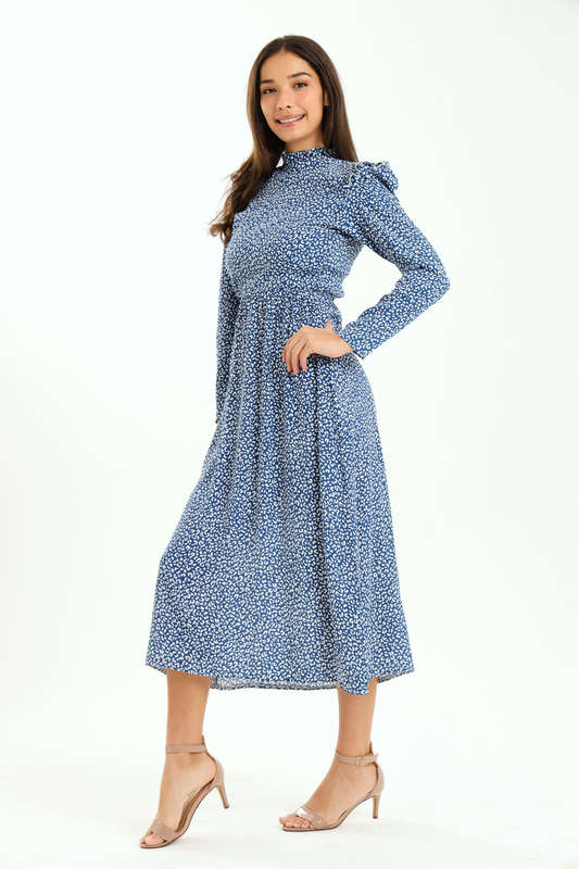 Ladies Alina Long Sleeve Frill Neck Midaxi Dress