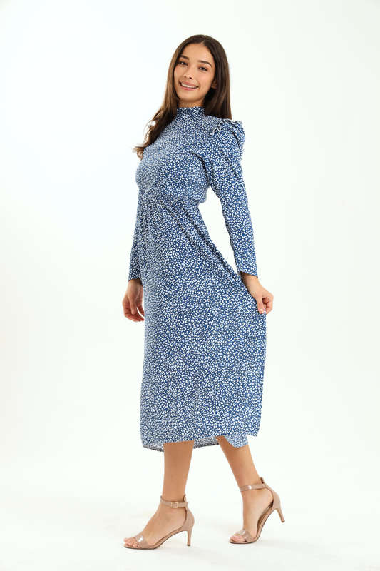 Ladies Alina Long Sleeve Frill Neck Midaxi Dress