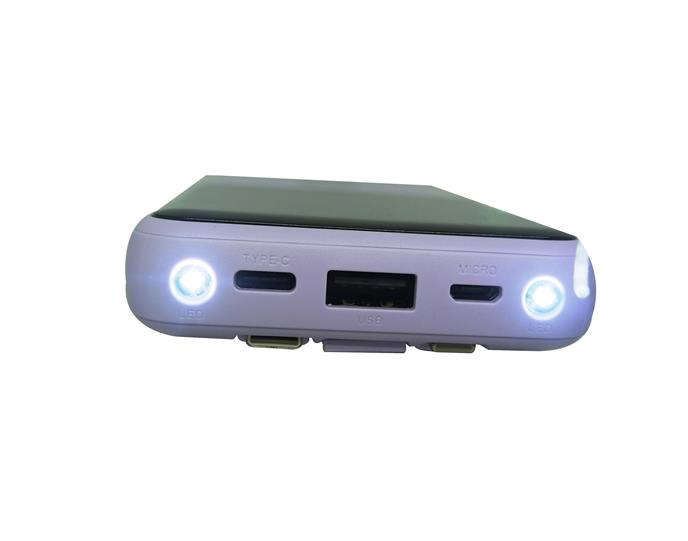Viaking Power Bank 10000 mAh Capacity- Colour Purple