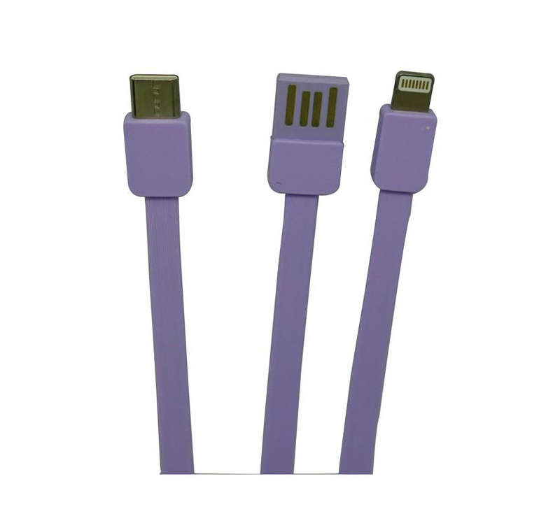 Viaking Power Bank 10000 mAh Capacity- Colour Purple