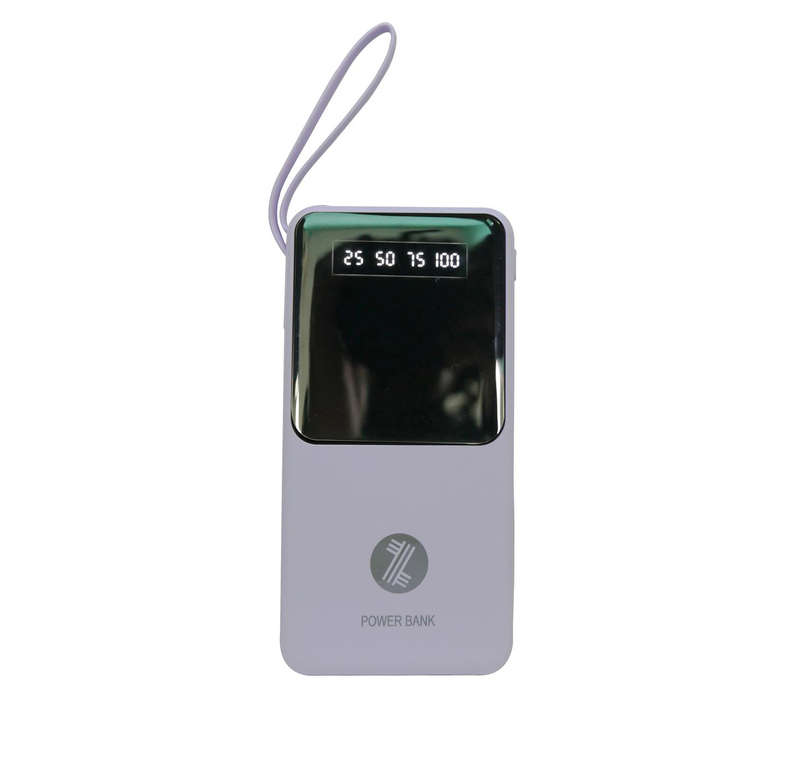Viaking Power Bank 10000 mAh Capacity- Colour Purple