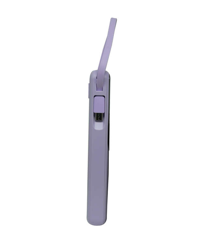 Viaking Power Bank 10000 mAh Capacity- Colour Purple