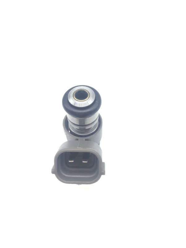 The new product ipm019 of automobile fuel injection nozzle is suitable for Chery QQ