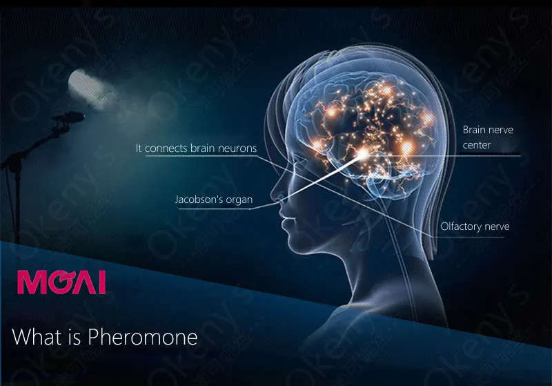 Pheromone Flirt Perfume for woman, Body Spray Oil with Pheromones, Attract The Opposite Sex Parfum
