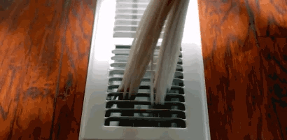 gif3