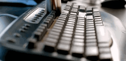 gif4