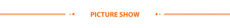 Picture Show