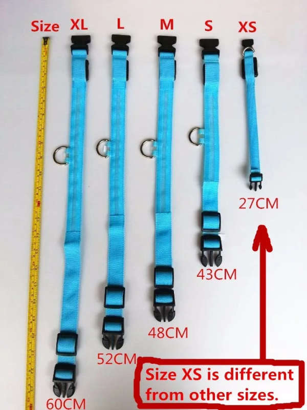 LED Glowing Dog Collars for After Dark.