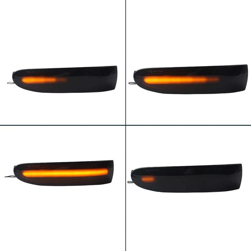 Car LED Dynamic Turn Signal Light Side Rearview Mirror Light for Mercedes-Benz R M GL Class W251