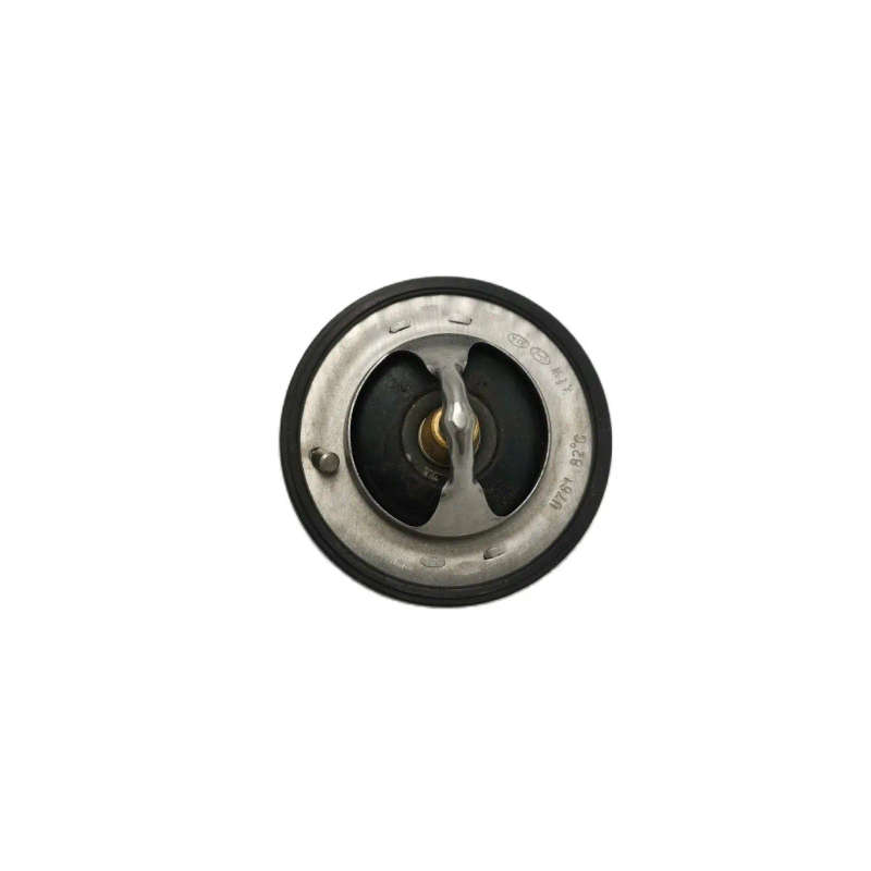 Engine Coolant Thermostat For Hyundai Veracruz ix55 2007 2008 255003C100 25500-3C100