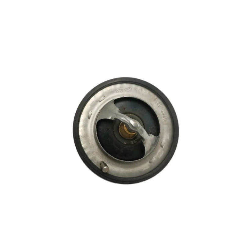 Engine Coolant Thermostat For Hyundai Veracruz ix55 2007 2008 255003C100 25500-3C100