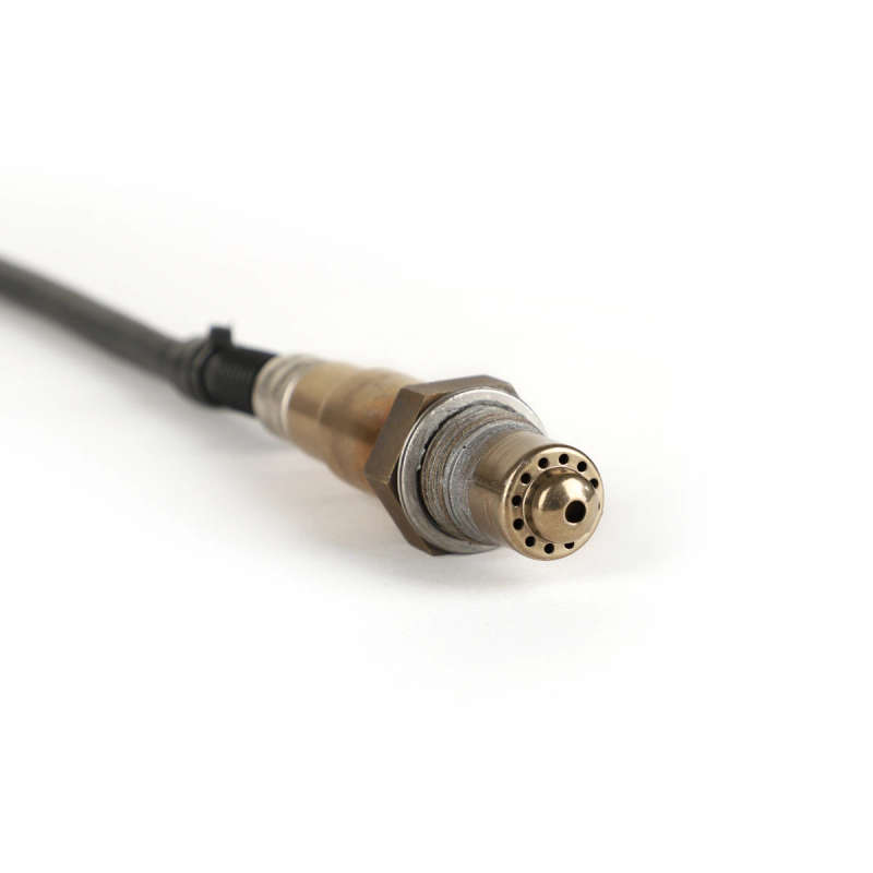 Oxygen sensor For royal alloy 200