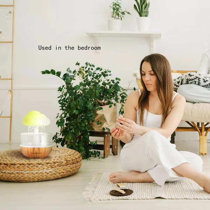 Rain Cloud Night Light Humidifier