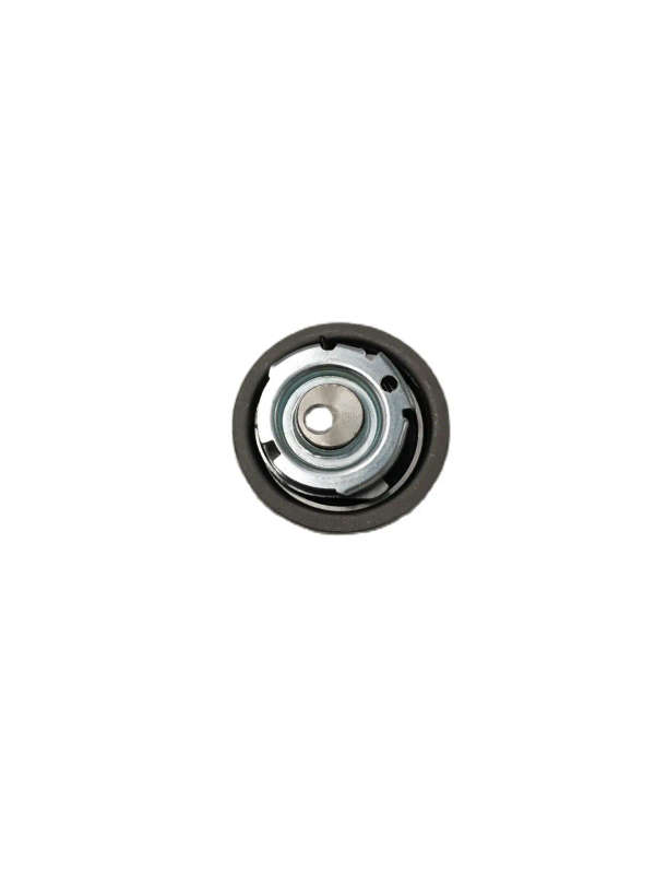 Timing Belt Tensioner For Hyundai PICANTO/GETZ 2441002100 24410-02100