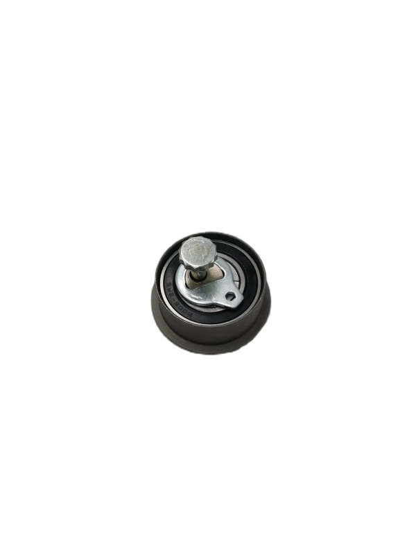 Timing Belt Tensioner For Hyundai PICANTO/GETZ 2441002100 24410-02100