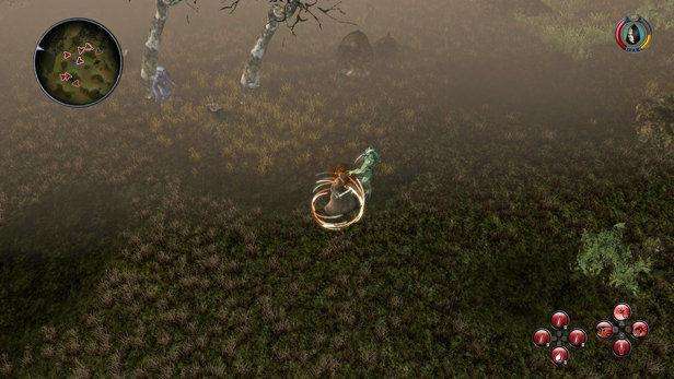 Sacred 2: Fallen Angel (PlayStation 3)