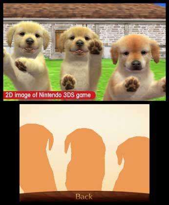 Nintendogs + Cats: Toy Poodle & New Friends (Nintendo 3DS)
