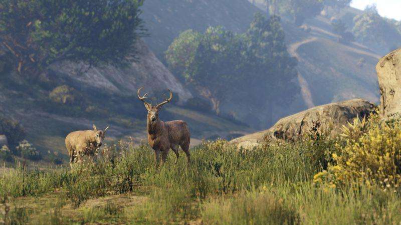 Grand Theft Auto V (PlayStation 3)