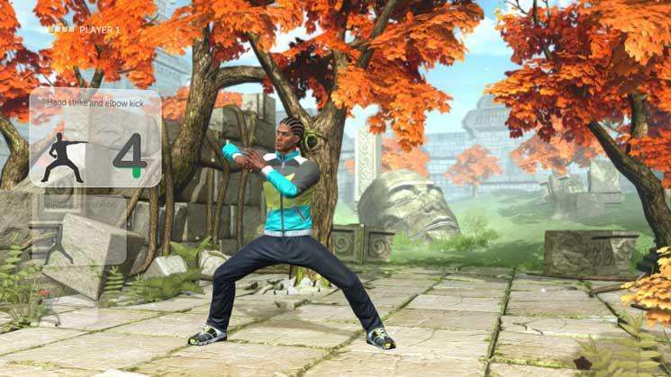 Your Shape: Fitness Evolved 2013 (Nintendo Wii U)