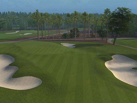 EA Sports Tiger Woods PGA Tour 14 (PlayStation 3)