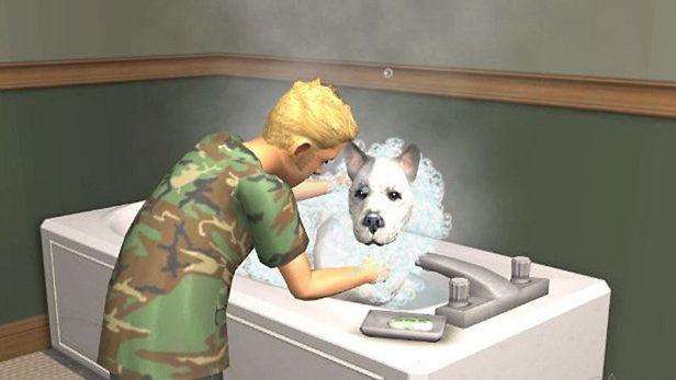 The Sims 2: Pets - Essentials (PSP)