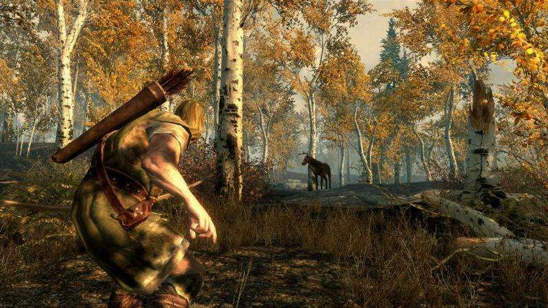 The Elder Scrolls V: Skyrim (PlayStation 3)