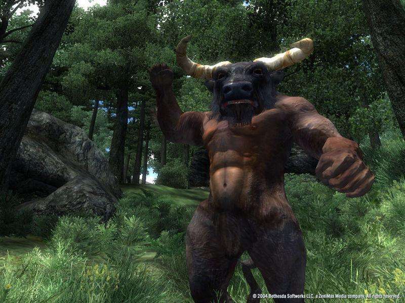 The Elder Scrolls IV: Oblivion - Game of the Year Edition - Platinum (PlayStation 3)