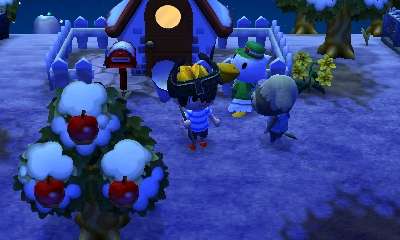 Animal Crossing: New Leaf (Nintendo 3DS)